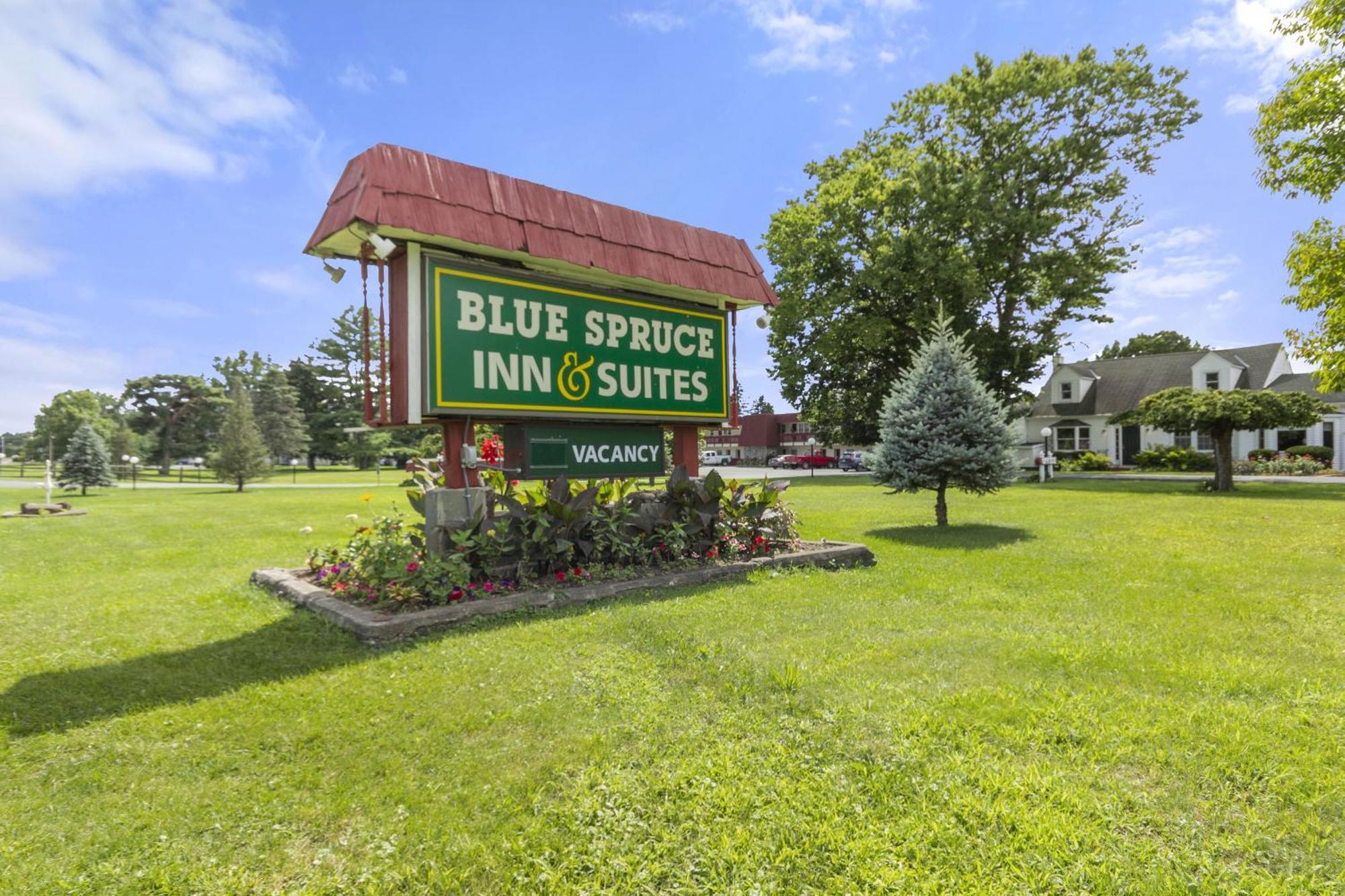 Blue Spruce Inn & Suites Valatie Exterior foto